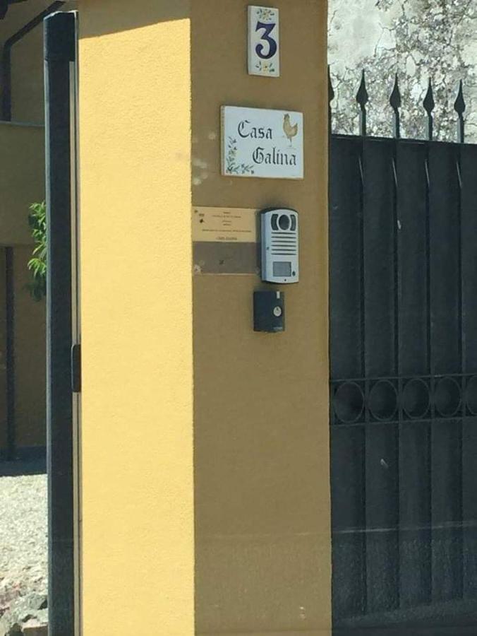 Casa Galina Villa Ciggiano Ngoại thất bức ảnh